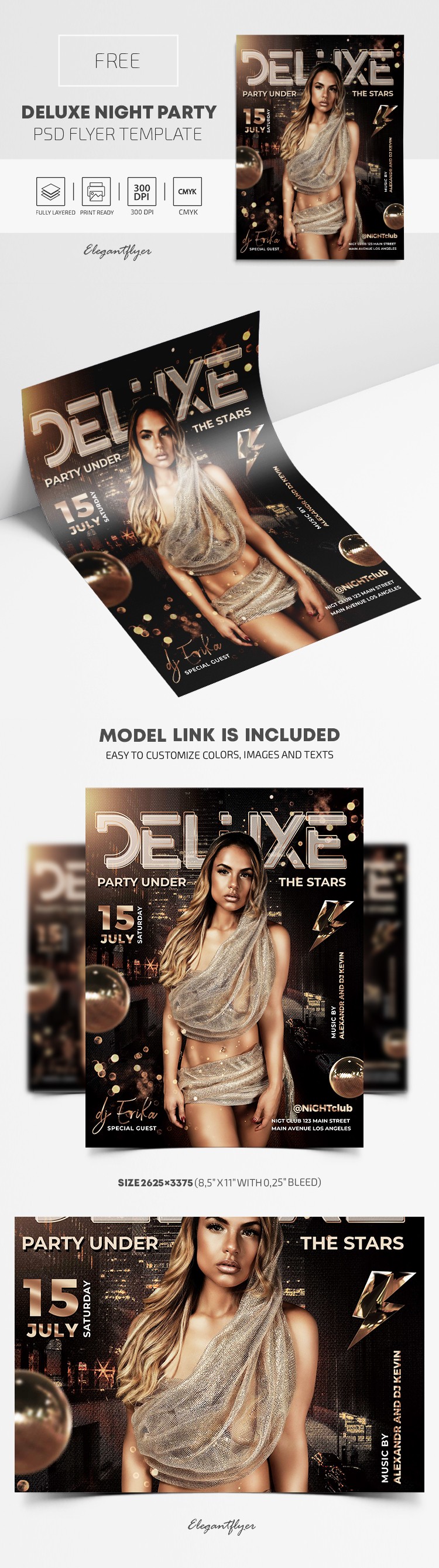 Folleto de Fiesta de Noche de Lujo by ElegantFlyer