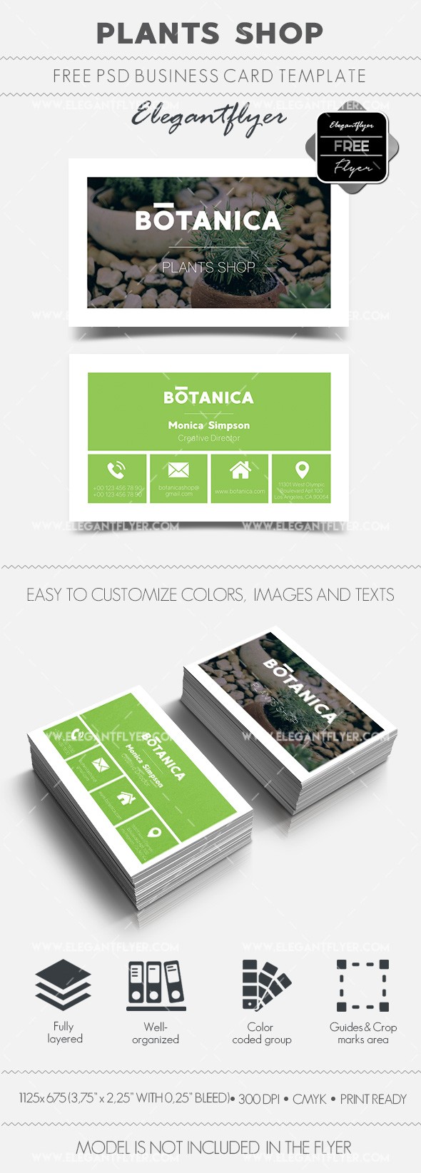 Sklep Roślin by ElegantFlyer Sklep Roślin by ElegantFlyer